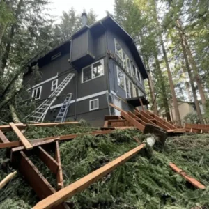 Demolition Services Bellingham Wa